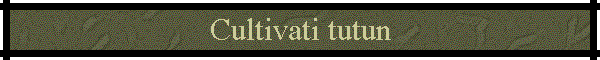 Cultivati tutun