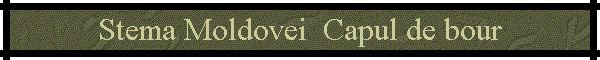 Stema Moldovei  Capul de bour